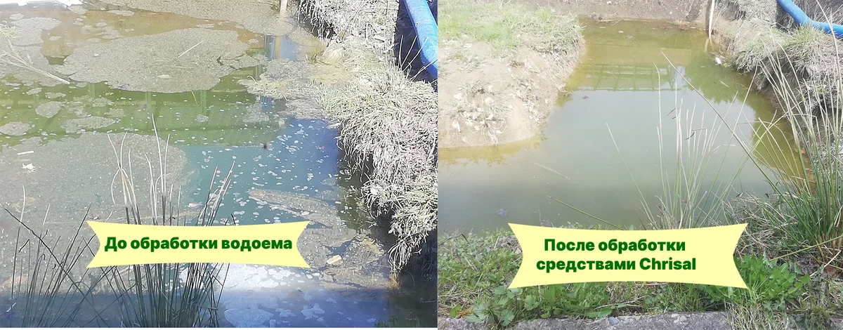 До и после 4